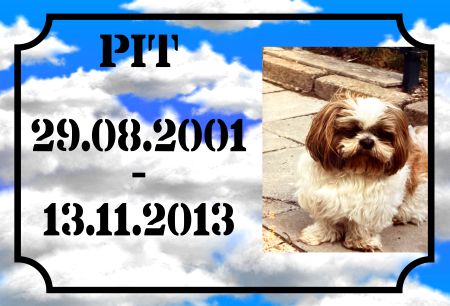 PIT Hunde Schild bunt kreativ informativ auffallend schilder selbst gestalten