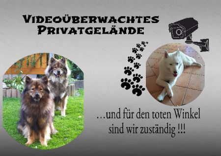PRIVATGEL&Auml;NDE Hunde Schild smart bunt kreativ schilder selbst gestalten