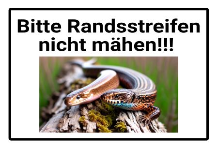 Randstreifen nicht m&auml;hen Hinweis Schild spannend bunt informativ auffallend schilder selbst gestalten