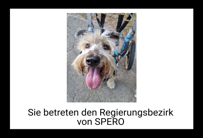 Regierungsbezirk Hunde Schild smart auffallend schilder selbst gestalten