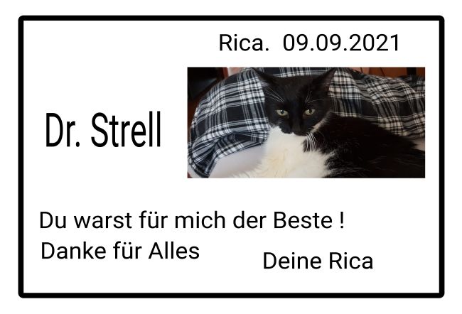 Rica Katzen Schild informativ auffallend schilder selbst gestalten