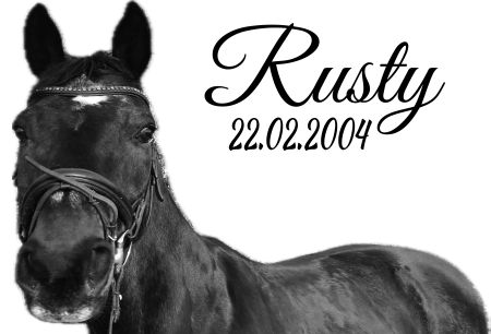 Rusty Pferde Schild smart informativ auffallend schilder selbst gestalten