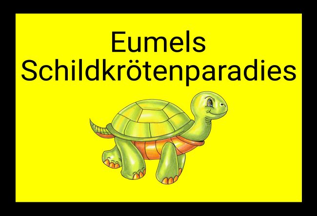 Schildkrötenparadis Tiere Schild smart spritzig auffallend schilder selbst gestalten