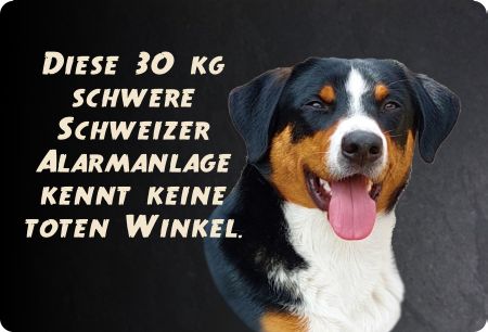 Schweizer Alarmanlage Hunde Schild kreativ spritzig informativ auffallend lustig schilder selbst gestalten