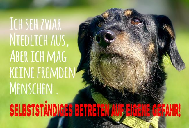 Sehe zwar niedlich aus ... Hunde Schild smart kreativ spritzig auffallend schilder selbst gestalten