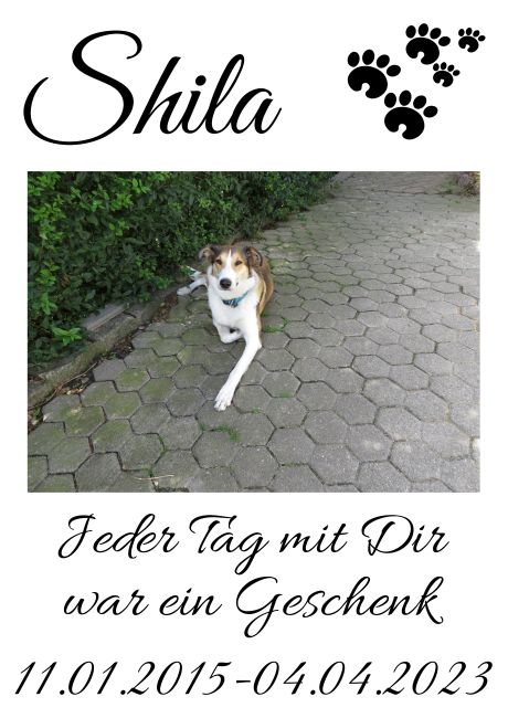 Shila Hunde Schild smart spritzig auffallend schilder selbst gestalten