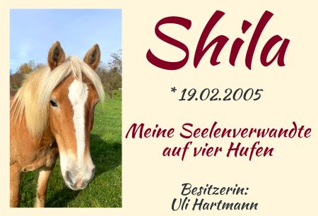 Shila - Meine Seelenverwandte Pferde Schild kreativ spritzig auffallend schilder selbst gestalten
