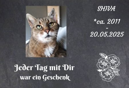 Shiva Gedenktafel Schild informativ nachdrücklich schilder selbst gestalten