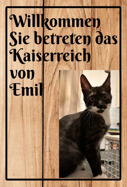 Sie betreten das Kaiserreich Katzen Schild smart kreativ spritzig schilder selbst gestalten