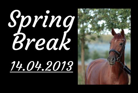 Spring Break Pferde Schild smart spannend informativ auffallend schilder selbst gestalten