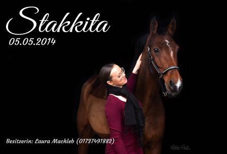 Stakkita Pferde Schild kreativ informativ auffallend schilder selbst gestalten