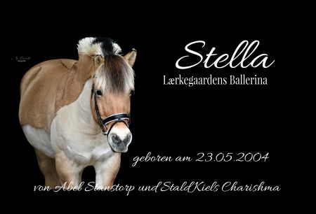 Stella Pferde Schild smart spannend informativ auffallend schilder selbst gestalten