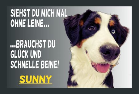 SUNNY Hunde Schild kreativ informativ auffallend schilder selbst gestalten