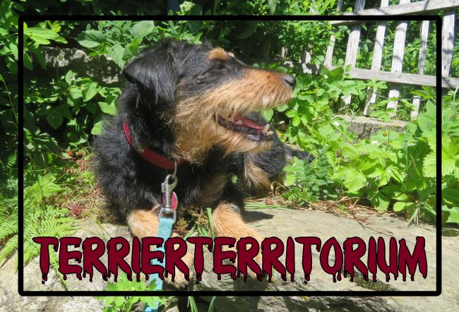 Terrierterritorium Hunde Schild bunt kreativ informativ schilder selbst gestalten