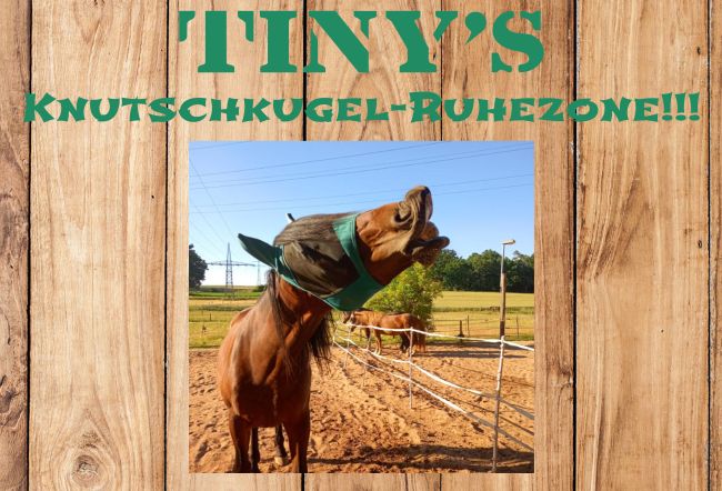 TINY Pferde Schild smart spritzig lustig schilder selbst gestalten