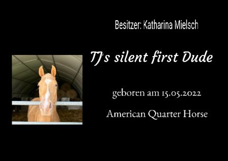 TJs silent first Dude Pferde Schild informativ auffallend schilder selbst gestalten
