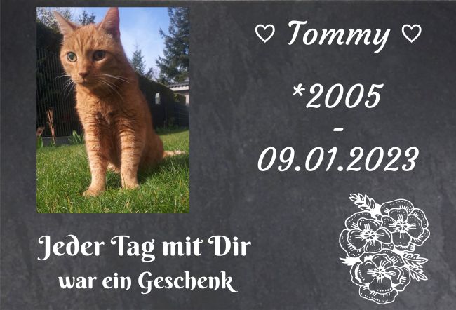 Tommy Gedenktafel Schild kreativ nachdrücklich schilder selbst gestalten