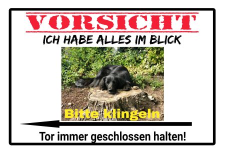 Tor geschlossen halten Hunde Schild bunt kreativ informativ schilder selbst gestalten