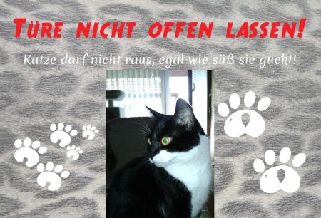 T&uuml;re nicht offen lassen! Katzen Schild smart kreativ informativ auffallend schilder selbst gestalten