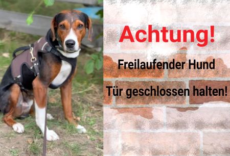 T&uuml;ren geschlossen halten! Hunde Schild bunt kreativ informativ auffallend nachdr&uuml;cklich schilder selbst gestalten