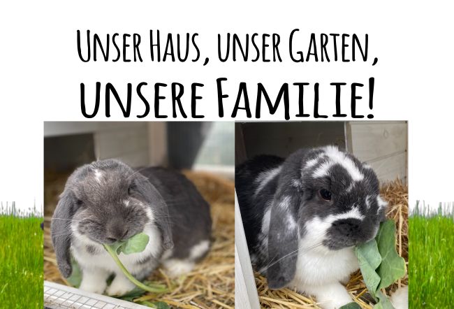 Unser Haus  unser Garten Tiere Schild smart kreativ spritzig schilder selbst gestalten