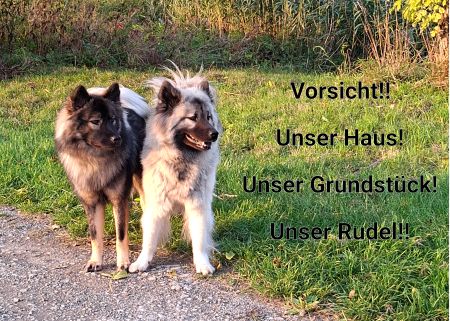 Unser Haus! Unser Grundstück! Unser Rudel! Hunde Schild smart spannend spritzig schilder selbst gestalten