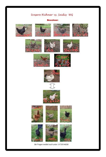 Unsere Hühner Tiere Schild smart bunt spritzig informativ auffallend lustig schilder selbst gestalten