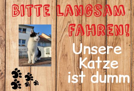 Unsere Katze ist dumm Katzen Schild smart kreativ informativ auffallend schilder selbst gestalten