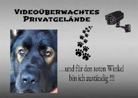 Video&uuml;berwachtes Privatgel&auml;nde Hunde Schild smart kreativ spritzig schilder selbst gestalten