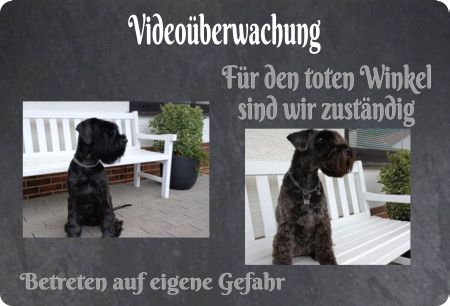Videoüberwachung Für den toten Winkel ... Hunde Schild spritzig informativ auffallend schilder selbst gestalten
