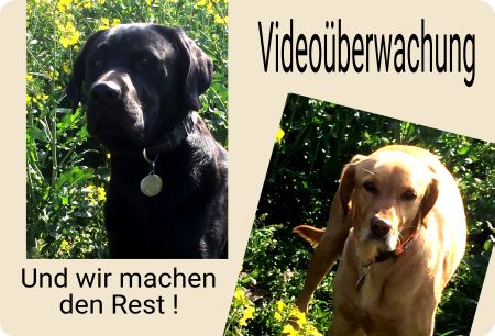 Videoüberwachung Hunde Schild smart kreativ spritzig auffallend schilder selbst gestalten