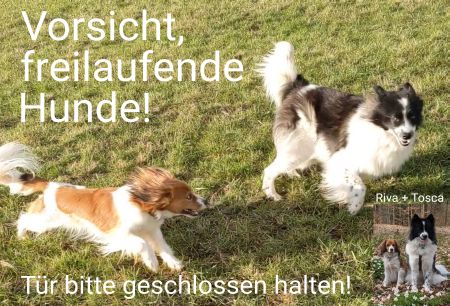 Vorsicht freilaufende Hunde! Hunde Schild smart bunt kreativ informativ auffallend schilder selbst gestalten