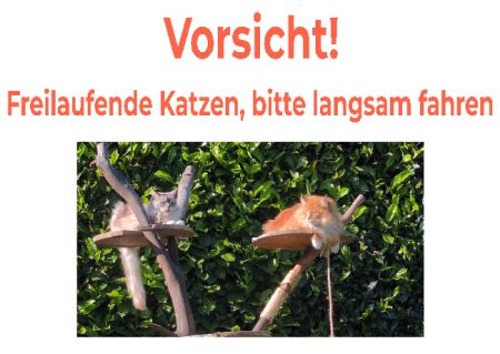 Vorsicht - Freilaufende Katze Katzen Schild bunt spritzig informativ auffallend schilder selbst gestalten