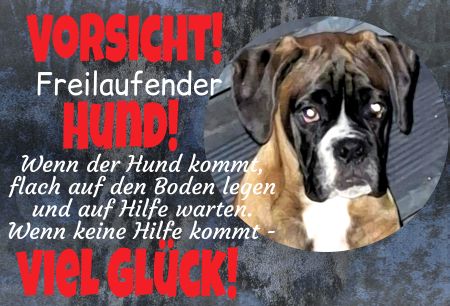 VORSICHT - Freilaufender Hund Hunde Schild bunt kreativ spritzig informativ auffallend schilder selbst gestalten
