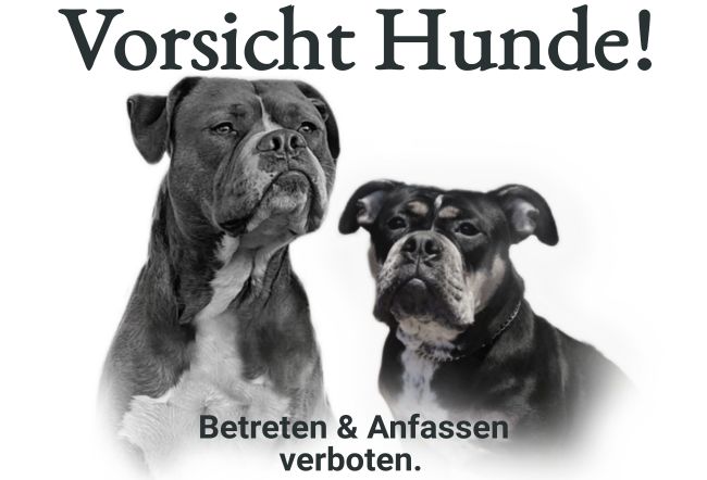 Personalisiertes Türschild Achtung Katze - 30x20cm Aluminium Selbst Gestalten
