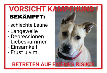 VORSICHT KAMPFHUND Hunde Schild spannend informativ auffallend nachdrücklich schilder selbst gestalten