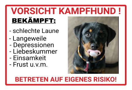 VORSICHT KAMPFHUND Warnung-Zutrittverboten Schild informativ auffallend nachdrücklich schilder selbst gestalten