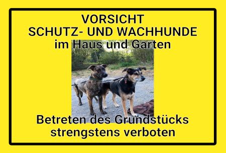 Vorsicht - Schutz- und Wachunde Hinweis Schild bunt kreativ spritzig informativ auffallend schilder selbst gestalten