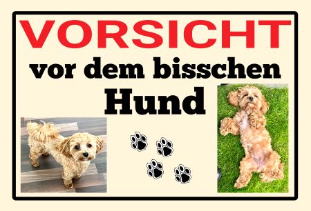 VORSICHT vor dem bisschen Hund Hunde Schild bunt kreativ informativ auffallend schilder selbst gestalten