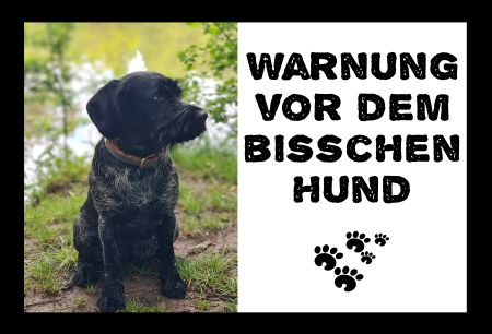 Warnung vor dem bisschen Hund Tiere Schild bunt kreativ spritzig auffallend schilder selbst gestalten