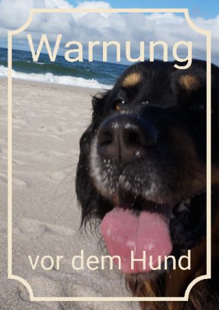 Warnung vor dem Hund Hunde Schild kreativ informativ auffallend schilder selbst gestalten
