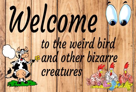 Welcome to weird bird Firma Schild spannend kreativ spritzig informativ auffallend lustig schilder selbst gestalten