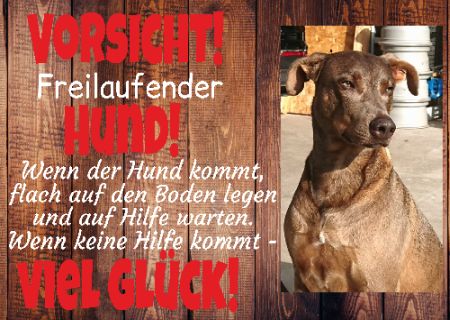 Wenn keine Hilfe kommt viel Glück! Hunde Schild spannend kreativ informativ auffallend lustig schilder selbst gestalten