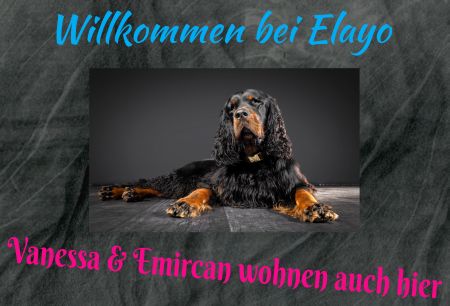 Willkommen bei Elago Hunde Schild spannend kreativ spritzig informativ auffallend schilder selbst gestalten