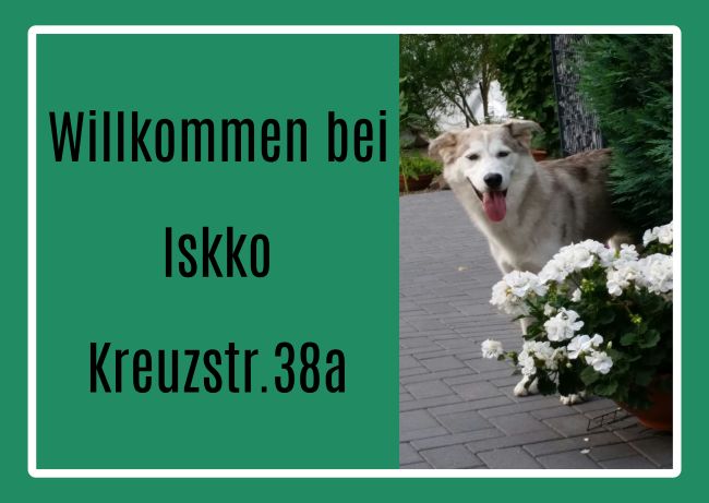 Willkommen Hunde Schild smart spritzig informativ schilder selbst gestalten