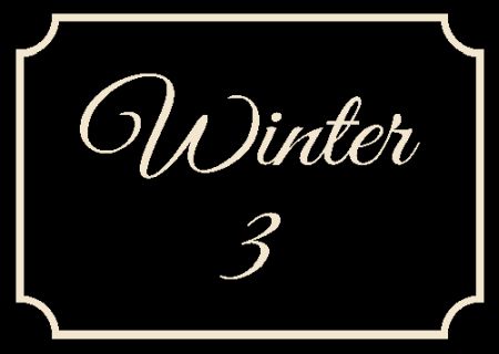 Winter 3 Strassen-Hausnummern Schild kreativ informativ auffallend schilder selbst gestalten