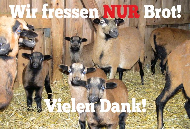 Wir fressen Brot Tiere Schild smart kreativ informativ schilder selbst gestalten