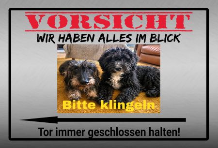 Wir haben alles im Blick Hunde Schild spannend bunt kreativ informativ auffallend schilder selbst gestalten