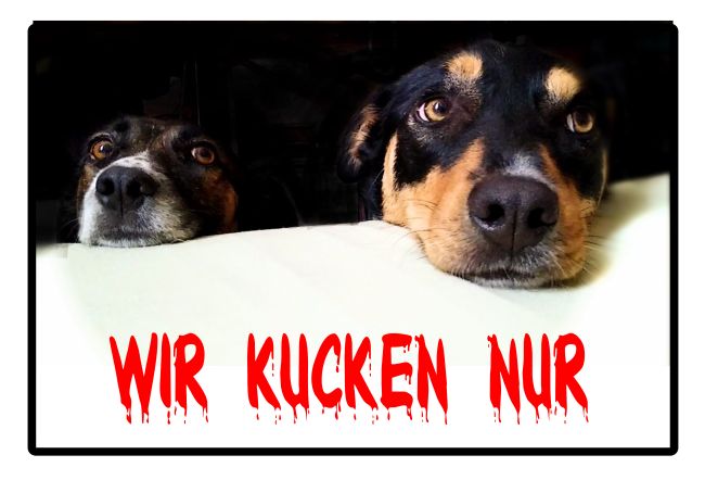 wIR KUCKEN NUR Hunde Schild smart spritzig informativ auffallend lustig schilder selbst gestalten