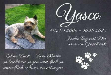 Yasco Hunde Schild smart kreativ informativ schilder selbst gestalten